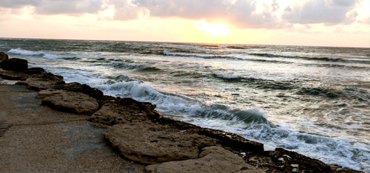 חוף בת גלים