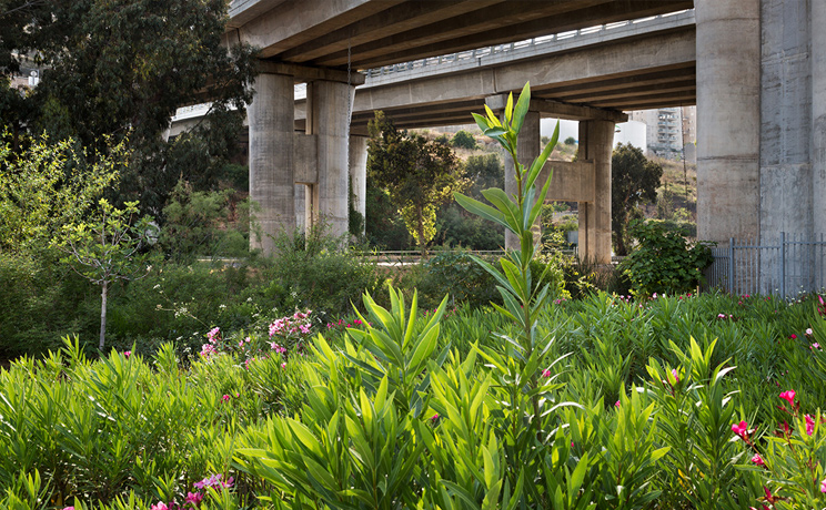 מנהרות הכרמל - צ'ק פוסט